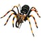 Wild Science WILD Science, Environmental Science, Extreme Spiders of the World, For Ages 6+ WES945 - alternate 2